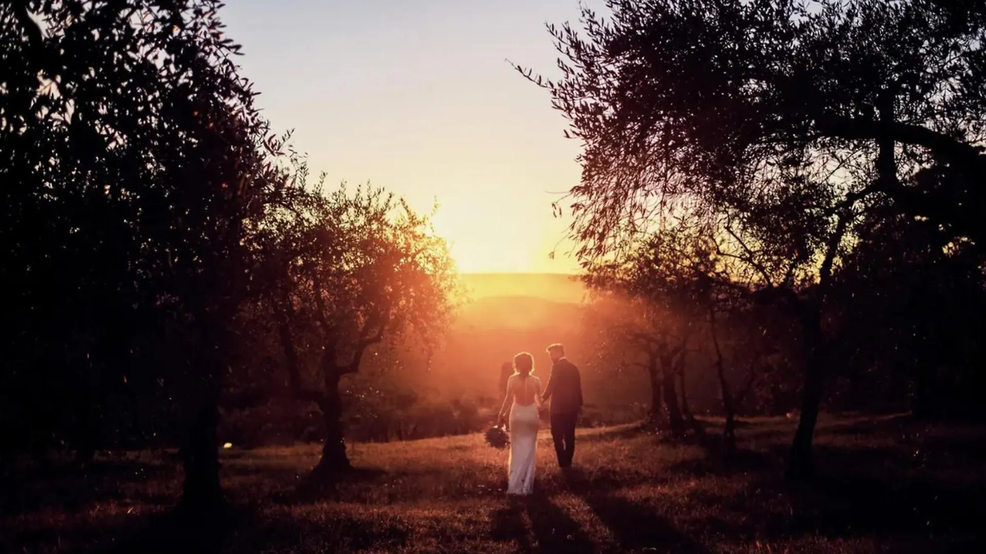 Villa Sunflower Montelupo Fiorentino